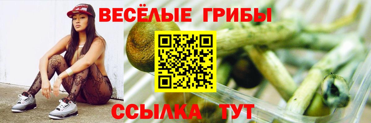 Галлюциногенные грибы мицелий Орёл