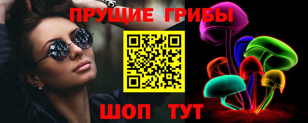 Орёл  сколько стоит  Вход с VPN  Галлюциногенные грибы мицелий 